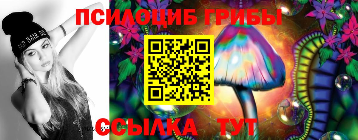 Псилоцибиновые грибы Cubensis Энгельс